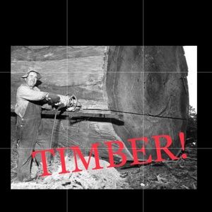 IT’S GOING DOWN! I’M YELLING TIMBER!